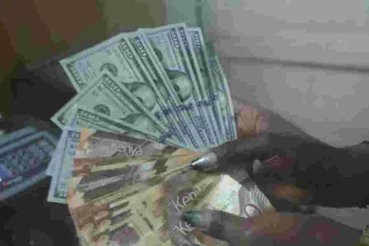 Shilling Bounces Back, Recoups Half the Value Lost 