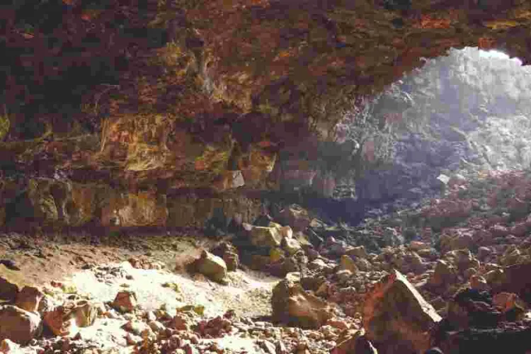 The Enigmatic Threat of Marburg Virus in Kenya's Kitum Cave