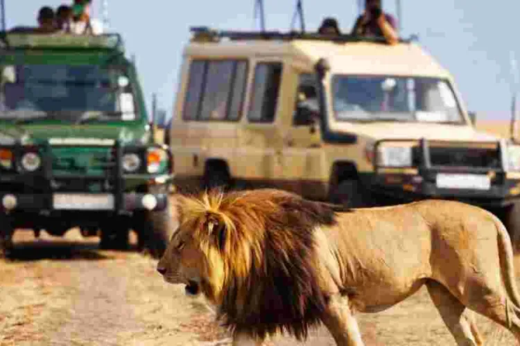 Kenya's Tourism Revenue Soars to All-Time High of Sh352 Billion