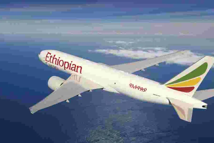 Ethiopian Airlines Addresses Public Outcry Following Viral Passenger Ejection Video 
