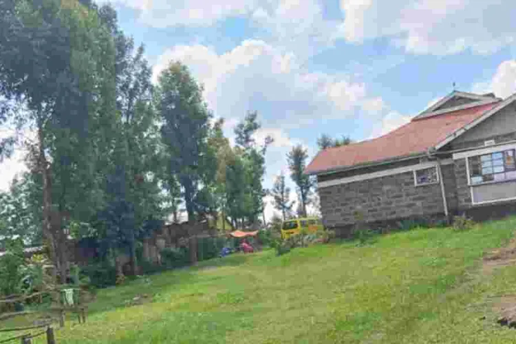 75-Year-Old Nakuru Mother Fights Eviction Attempt by US-Based Son