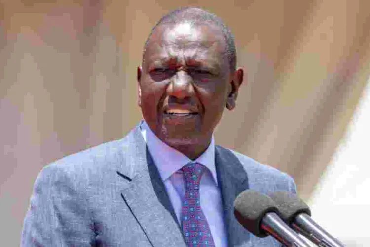 Senator Refutes Speculation of Widespread Changes in Ruto's Government