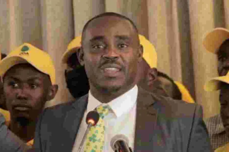 UDA Confronts Malala on Gachagua Impeachment Claims