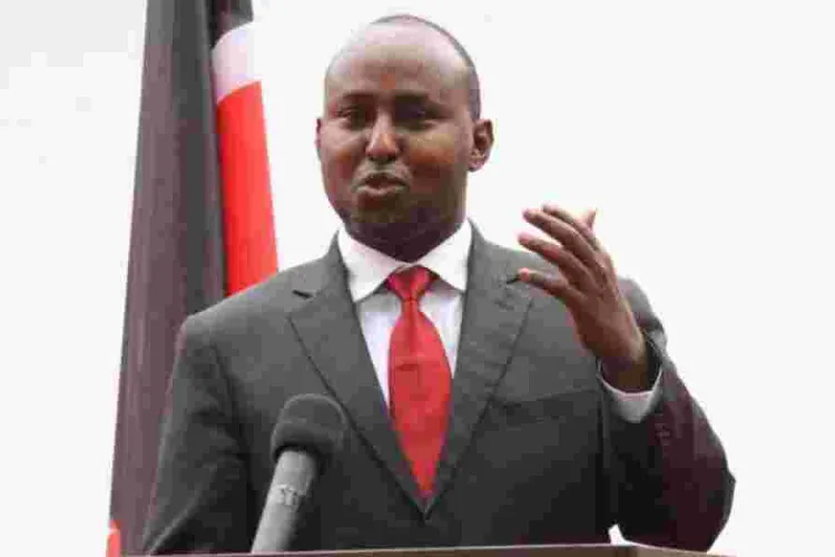 Junet Mohammed to Kalonzo: I'm the Real Opposition Leader