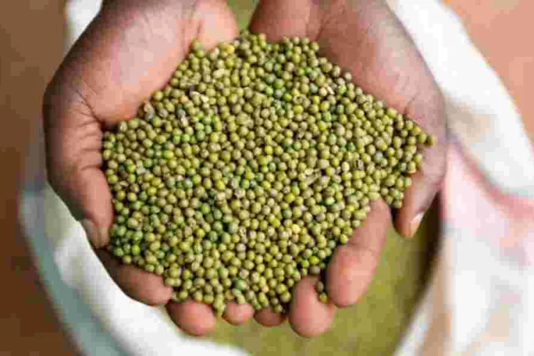 Kenyan MPs Vote Down 'Ndengu Bill' Amid Farmer Backlash