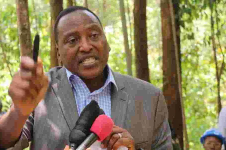 Four Kenyan MPs Blocked from Attending Diaspora Event in Minneapolis 