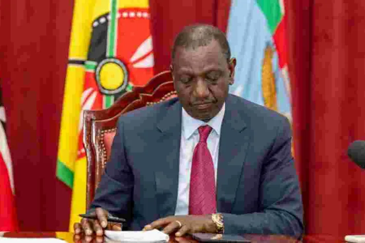 Kenya Unveils Visa-Free Transit and Digital Nomad Programs in Tourism Push