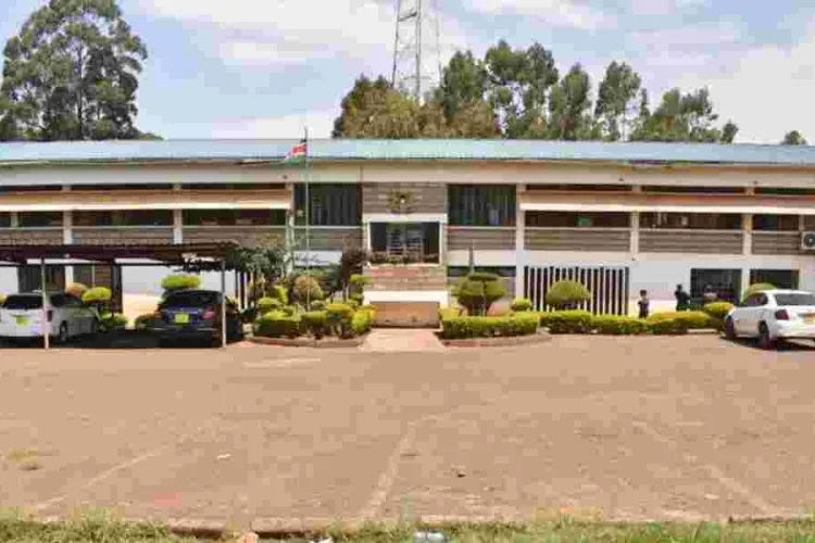 Eldoret Son Disowns Father, Declares Brotherhood for Sh500m Estate