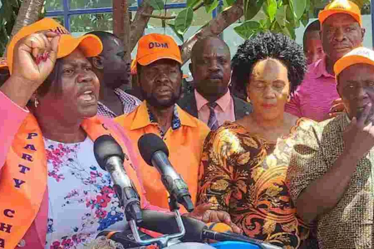 ODM Pledges Candidates for All Positions in 2027 Elections 