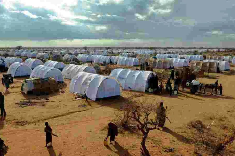 Kenya Sees 334% Jump in Asylum Cases Since 2019