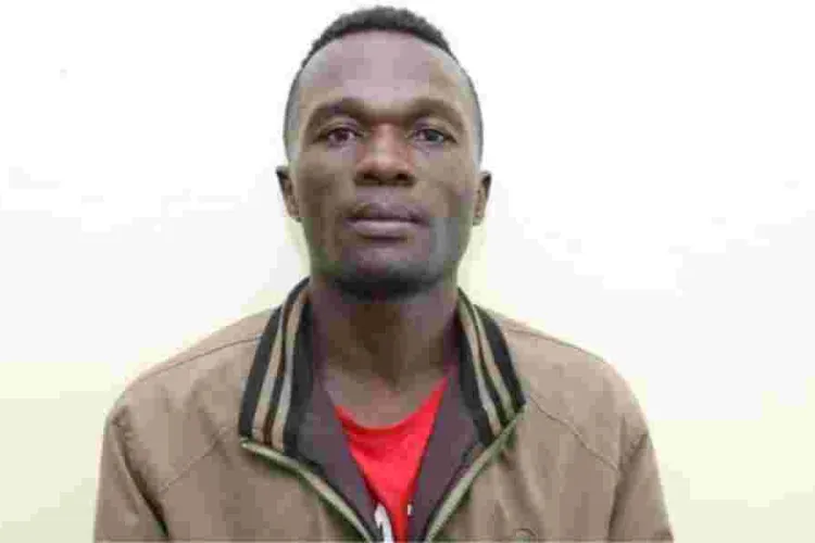 Human Rights Groups Condemn Delays in Kware Murders Investigation