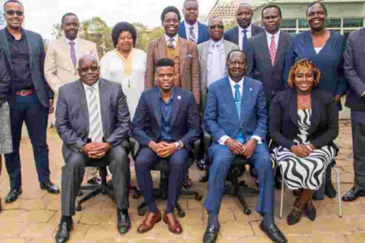 Kenyan Diaspora Pushes for Political Voice as Remittances Hit Sh56.7B