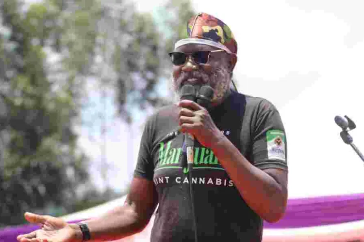 Biblical Burning Bush or Cannabis? Wajackoyah's Controversial Religious Marijuana Interpretation
