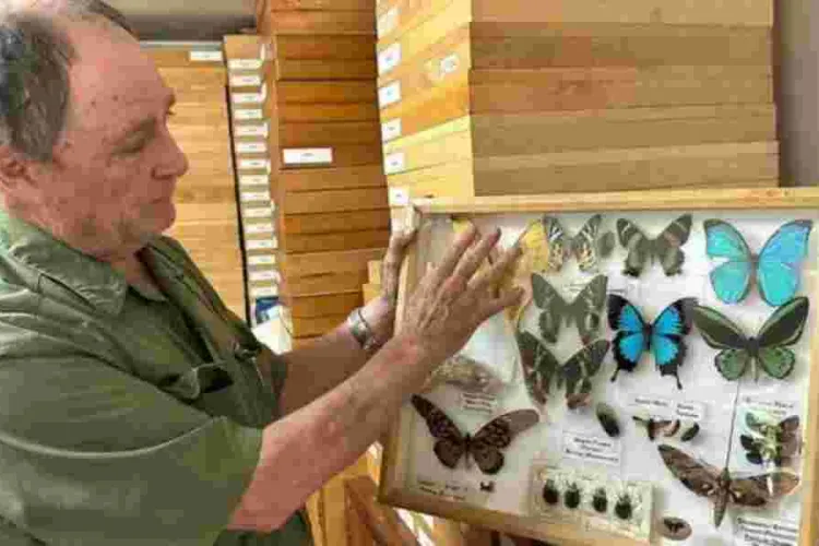 Steve Collins: Kenyan Man Who Turned Butterfly Collecting into Million-Shilling Art