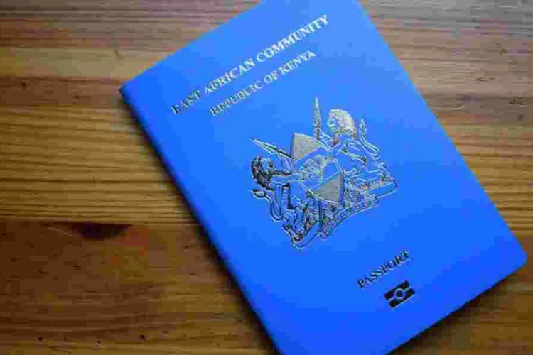 How Kenyans Can Acquire and Maintain Dual Nationality 