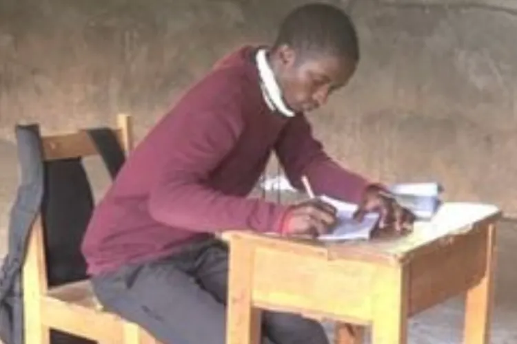 Kirinyaga School With One Student, Eight Teachers Faces Closure