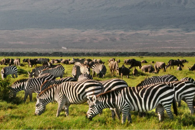 Kenya Sets 7M Tourist Goal by 2027 as France and Spain Already Attract Over 90M Annually