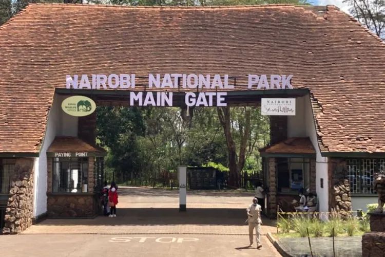 KWS Launches Pilot Phase of Upgraded eCitizen Payment System in Nairobi Parks