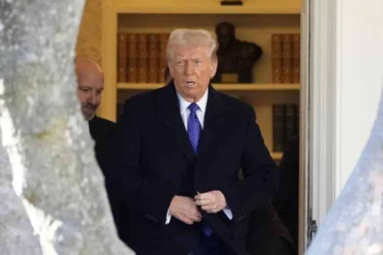 Trump Administration Dismisses 20 Immigration Judges Amid Growing Case Backlog
