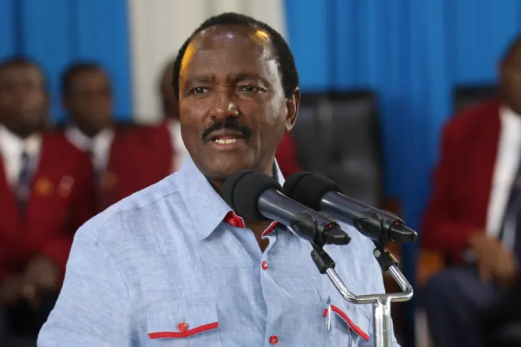 Kalonzo: Ruto Administration Cost Raila the AU Chairperson Position