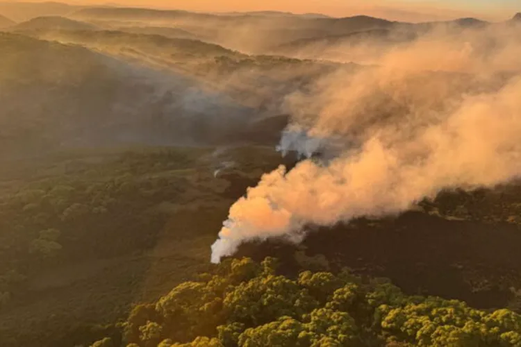 Wildfires Engulf Aberdare and Mount Kenya Forests as Conservation Teams Battle Multiple Blazes