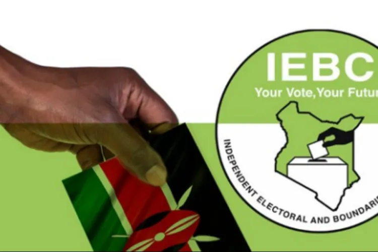 ODM MP Peter Kaluma Calls for Complete Voter Register Overhaul Before 2027 Elections