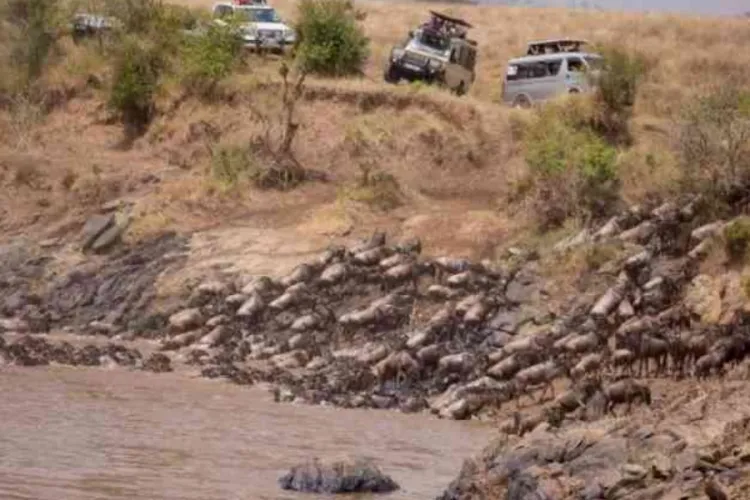 Economic Hardship Reshapes Kenya's Easter Travel Patterns