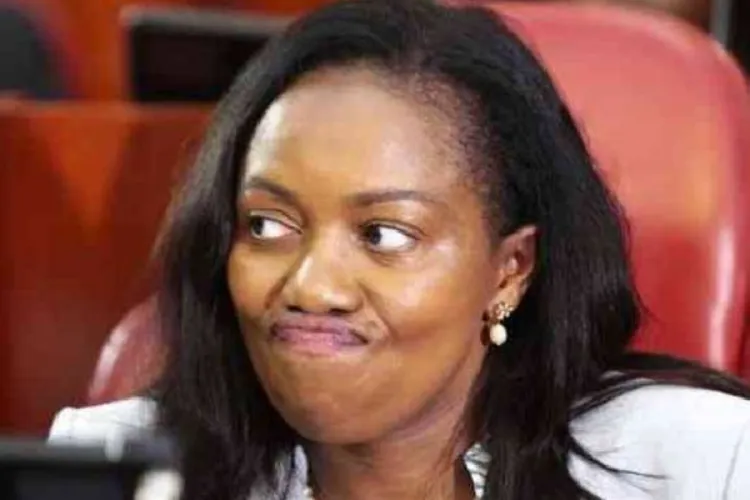 Governor Kihika Faces Legal Challenge Over Dual Citizenship