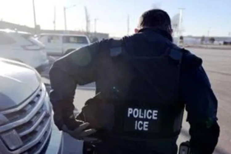 ICE Fines Colorado Companies $8M for Hiring Unauthorised Workers