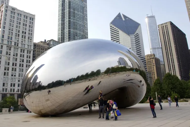 Illinois Sees Sharp Increase in Citizenship Applications as Green Card Holders Worry