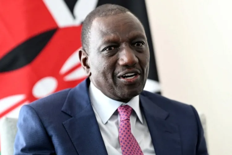 Kenyan-Canadian Businesswoman Sues Ruto Administration Over Botched Digital Propaganda Deal