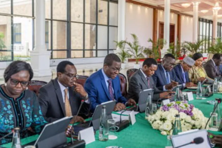 Kenyan Cabinet Secretaries Announce Key Leadership Appointments