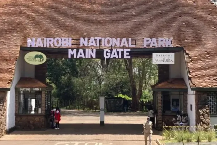 Kenya Announces New Measures to Improve Access to Nairobi National Park