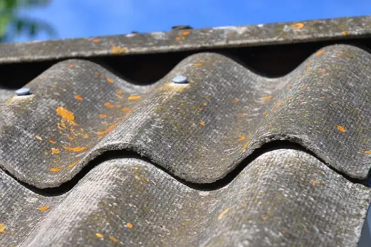 CS Barasa Orders Nationwide Removal of Asbestos Roofing Over Health Risks