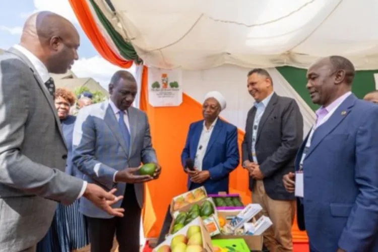 Murang’a County to Establish Export Processing Zone to Attract Investors