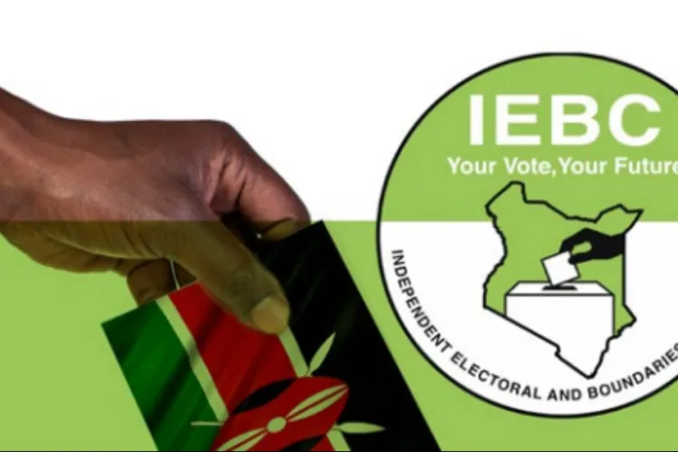 Petitioners Seek to Void IEBC Appointments Made in Defiance of Court