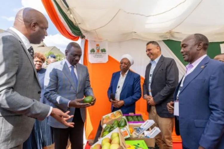 Murang’a Tycoons Finally Channel Wealth Home After Years of Silence