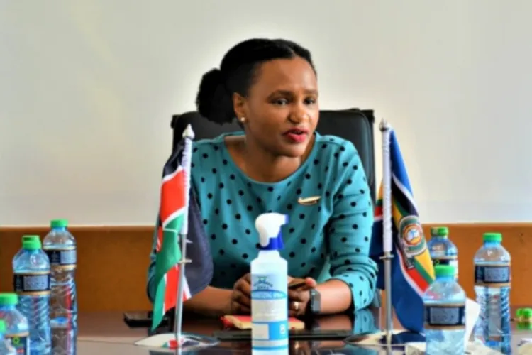 Kenyan Embassy in Dublin Steps Up Support as Diaspora Numbers Climb