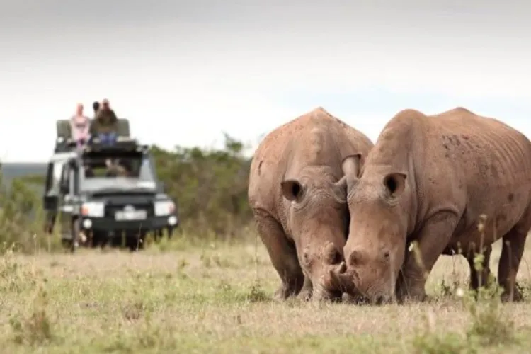 KWS Seeks to Raise National Park Fees by 50%