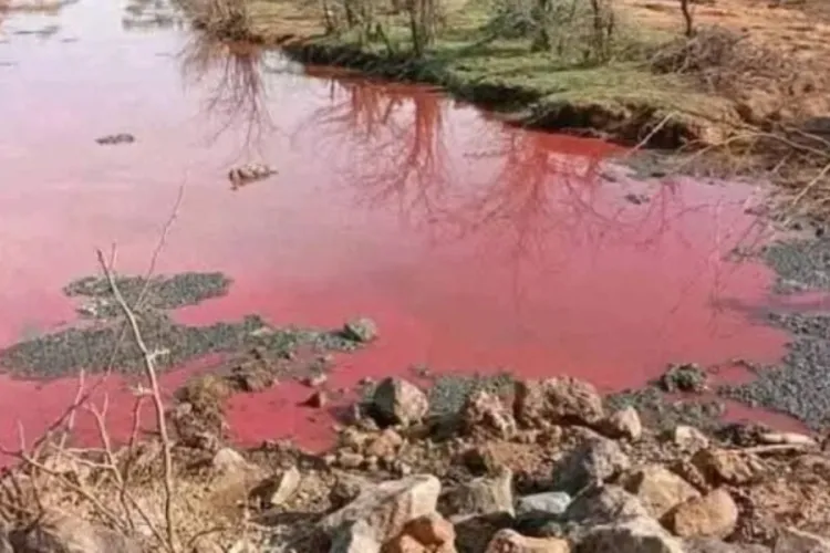 Why Lake Bogoria’s Waters Suddenly Turned Red