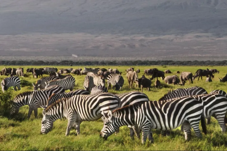 List of Proposed New Prices for Nairobi, Amboseli, Tsavo & All Other Parks