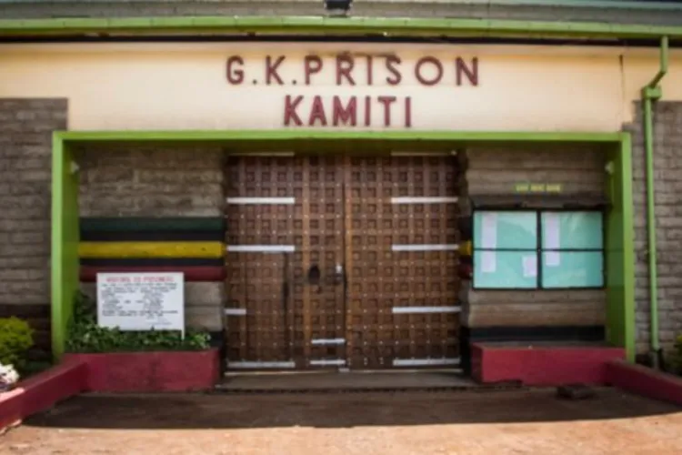 Kenyan MPs Advocate for Inmate Conjugal Rights in Proposed Reforms