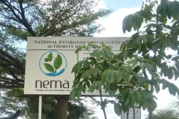 NEMA Threatens Closure of 107 Clubs and Restaurants for Noise Pollution 
