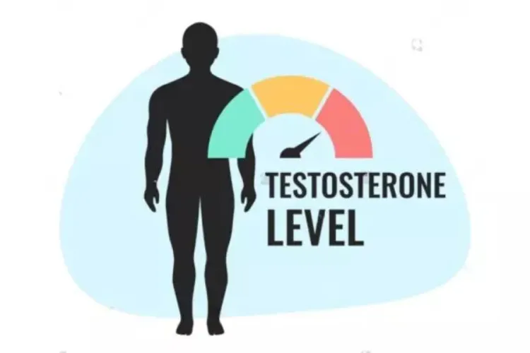 Low Testosterone in Young Men: Why You're Always Tired and Gaining Weight