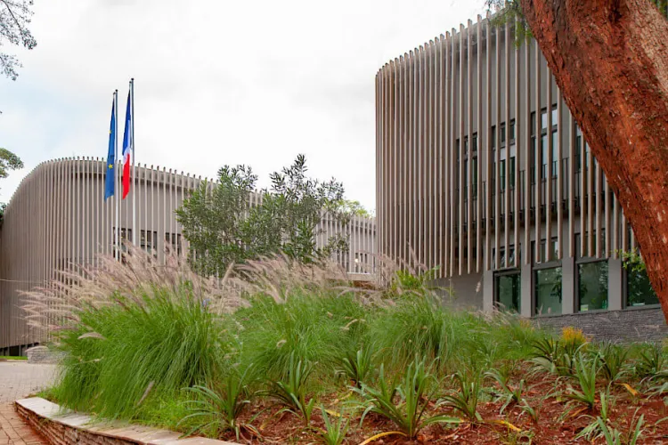 Kenyan Graduates Invited to Teach in France Through Embassy Initiative