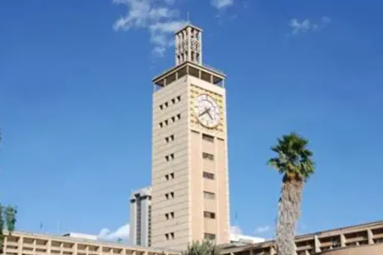 Kenyans in diaspora Seek Own MPs, Senators and Online Voting for 2027