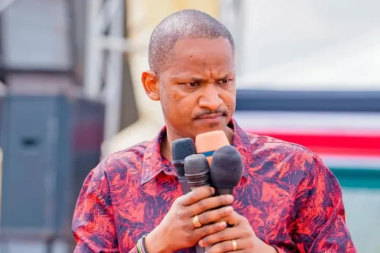 Babu Owino Dismisses Claims of Fallout With Odinga Family