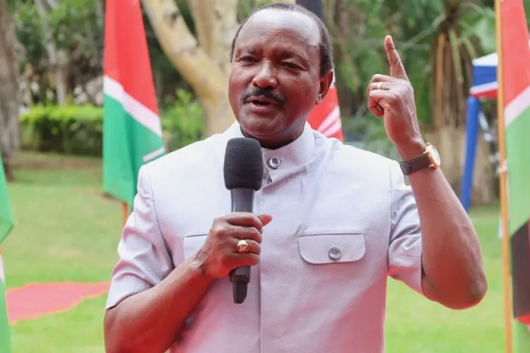 Wandayi Hits Back at Kalonzo and Wamalwa Over NADCO Criticism