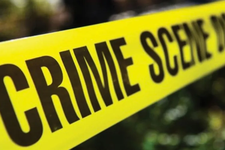 Milking Meru Dry: How Bandit Gangs Profit From Stolen Livestock