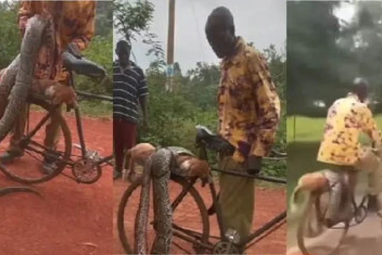 KWS to Compensate Siaya Resident Who Killed Python After Dog Attack